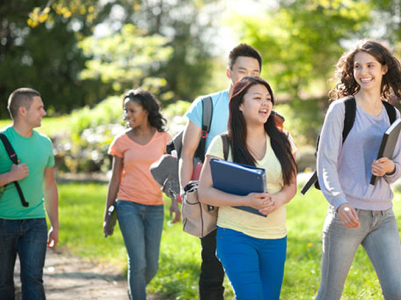 免费短信呼死你2023